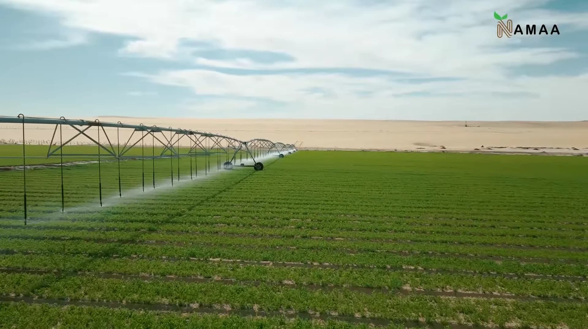 The Complete Guide to Medicinal Herb Cultivation