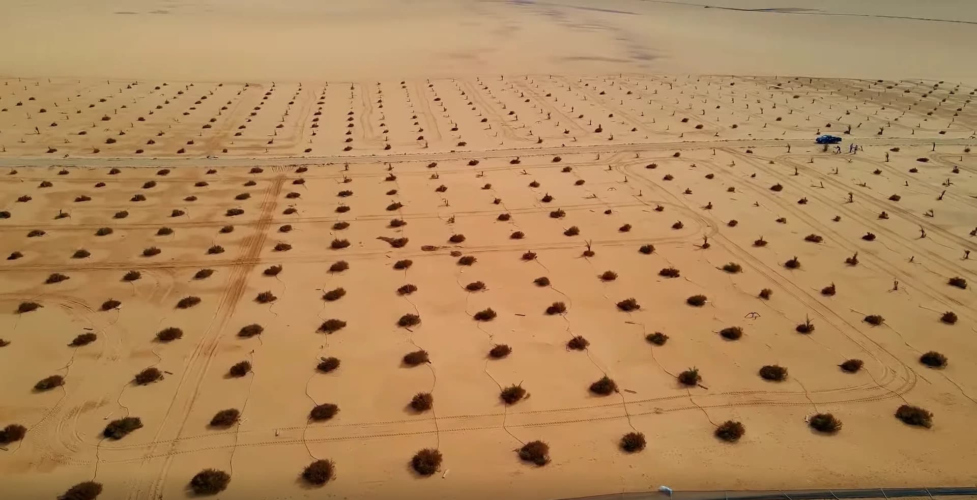 Sustainable Farming Practices in Dry Areas